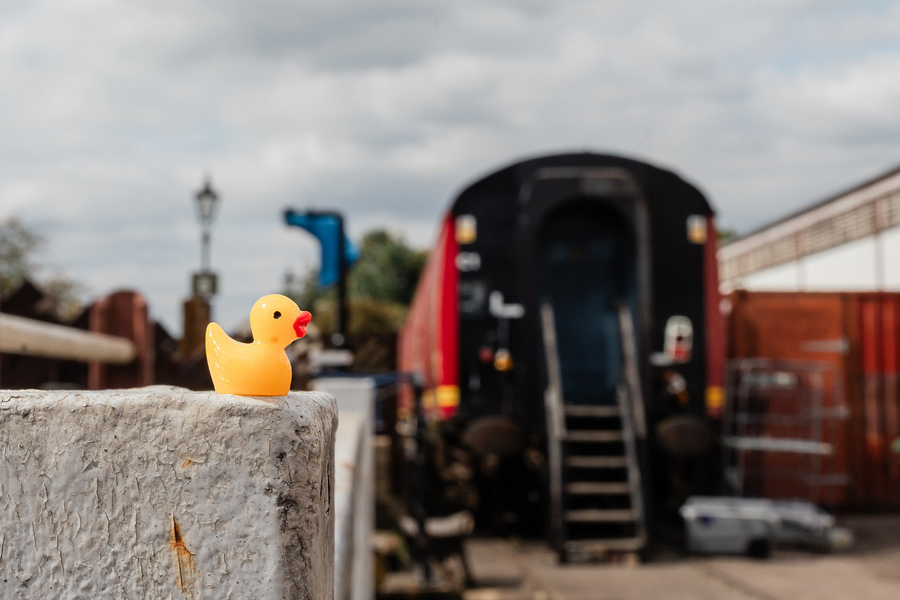 photo of yellow duck which is part of the guests taskmaster style tasks