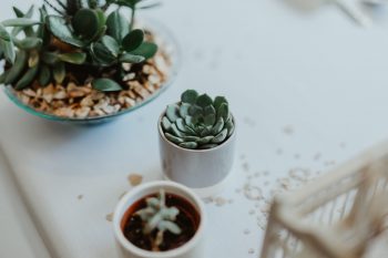 Stevie Jay photography - Unconventional Wedding at Storthes Hall Huddersfield - alternative wedding 32