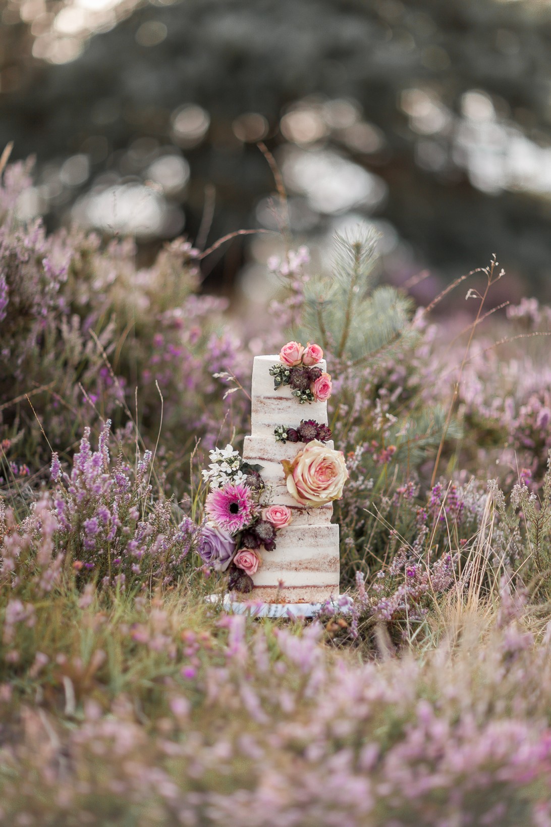 Tiny Sarah's Cakes - vegan wedding cakes - creative wedding cake - unique wedding cakes - alternative wedding cake 2 (2)