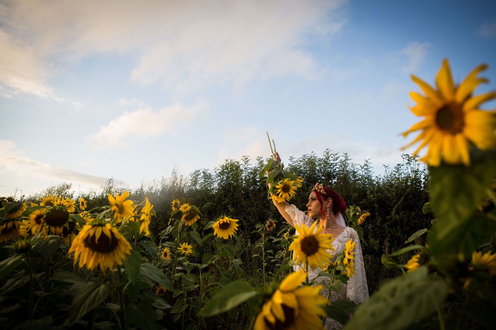 sunflower themed wedding - unconventional wedding - sunflower wedding - autumn wedding - alternative wedding planning - bride in a field of sunflowers