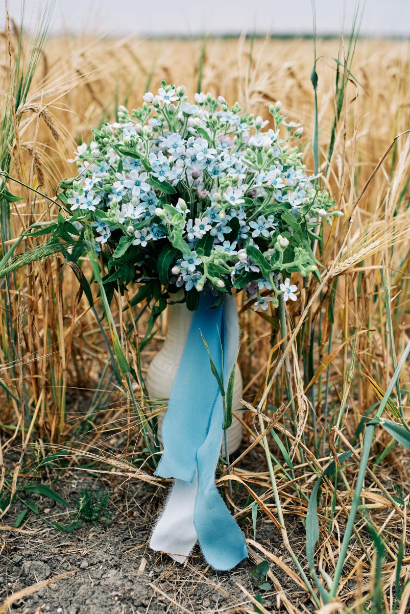 nhs wedding - paramedic wedding - blue and gold wedding - outdoor wedding - micro wedding - surprise wedding - simple blue wedding flowers