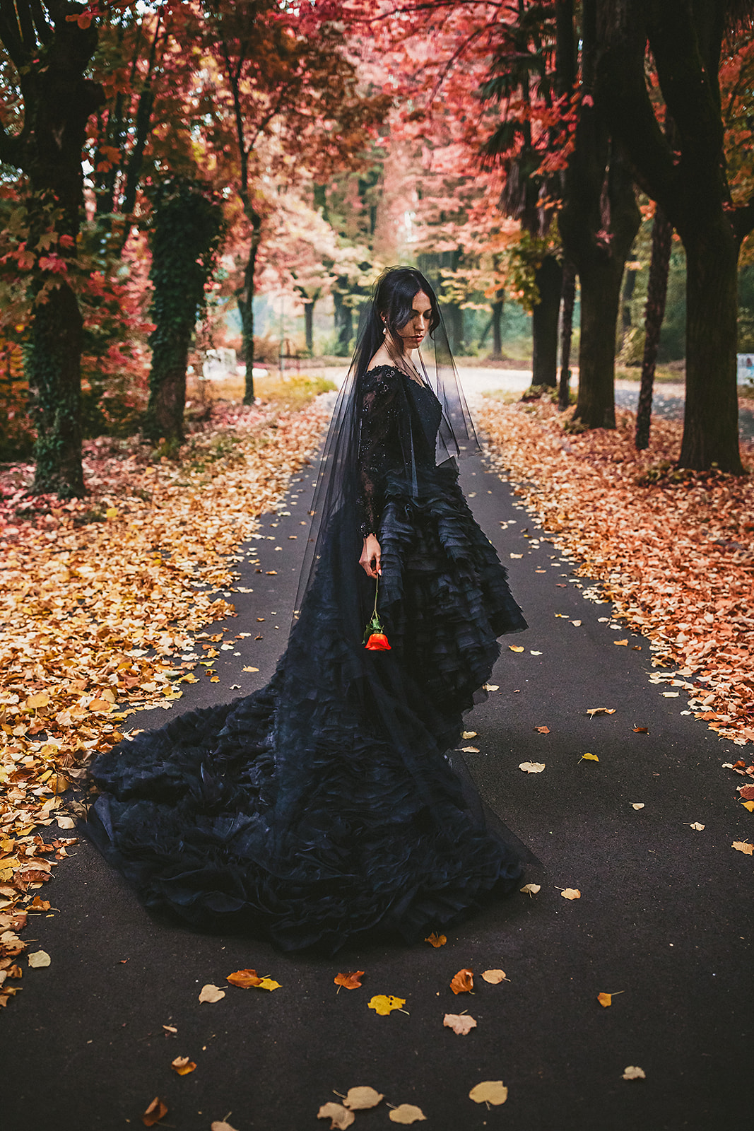 black wedding dress and black veil - gothic bridal wear