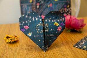 Cat Creative - own photo