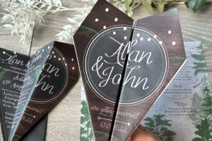 Cat Creative - own photo