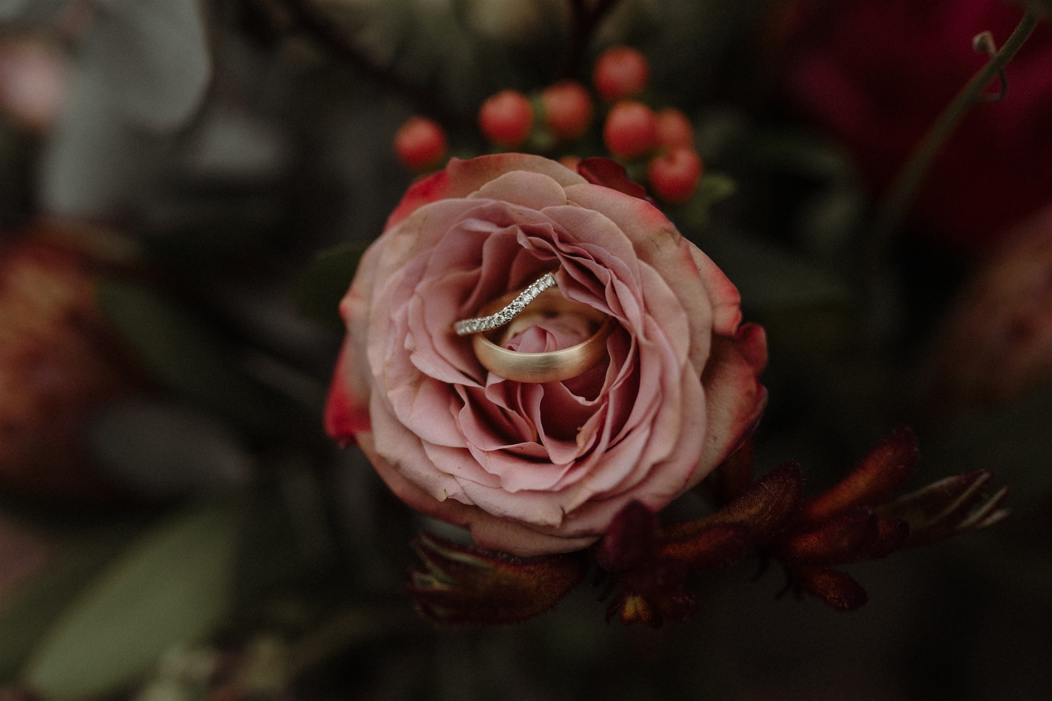 wedding rings in a rose - unique wedding photography