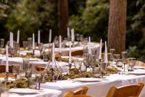 The Copper Cacti - Blush Photography