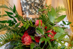 The Copper Cacti - Visions Of View Photography