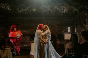 Proud Fox - Relm Photography