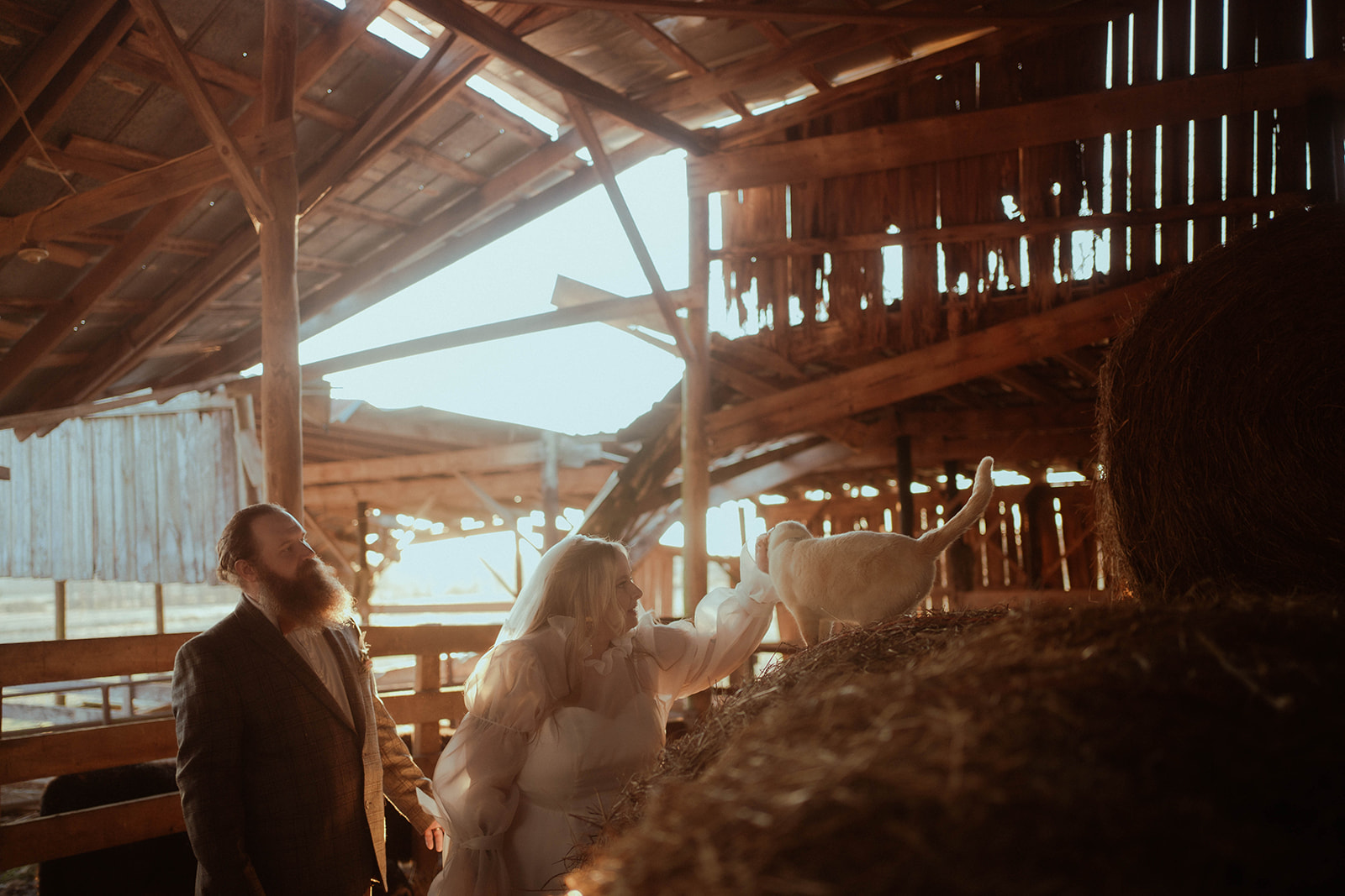 small farm wedding in tennessee - bride and groom in a barn stroking a cat
