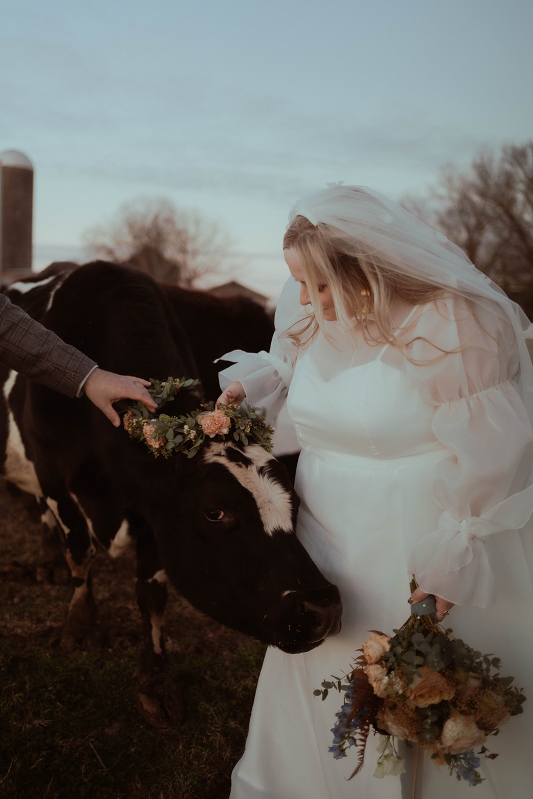 farm wedding - bride with a cow wearing a flower crown
