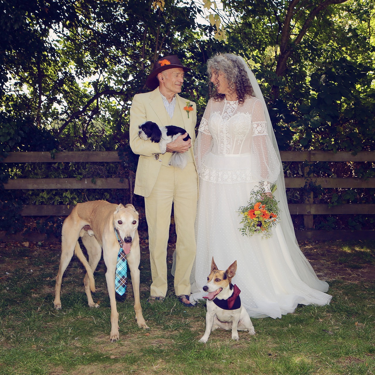 dogs at weddings - older couple with their dogs on their wedding day