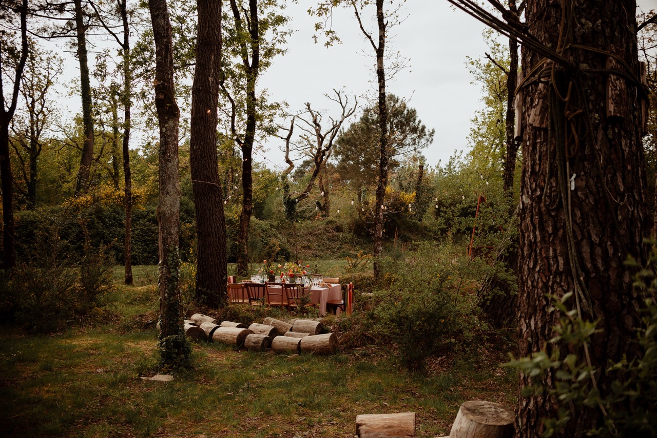 woodland wedding meal at wes anderson themed wedding