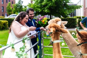 Blue Jay Photography -06