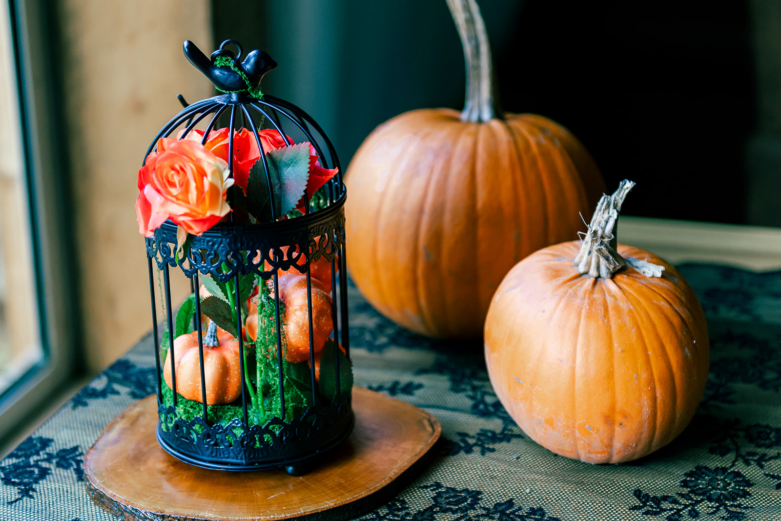 Detail shot of halloween wedding decor - two real pumpkins sat with a small black lantern filled with small orange pumpkins and orange flowers