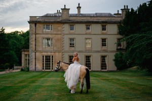 Artisan X Photography