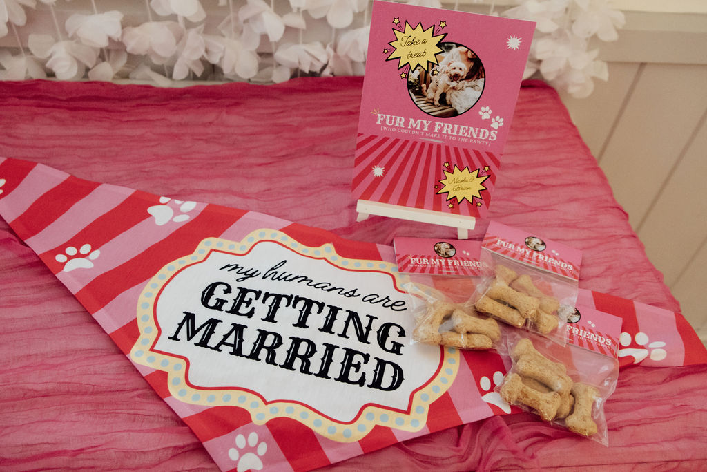 flat lay of dog wedding bandana with dog treats in carnival colours