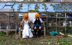 Featured MJP 250x165
